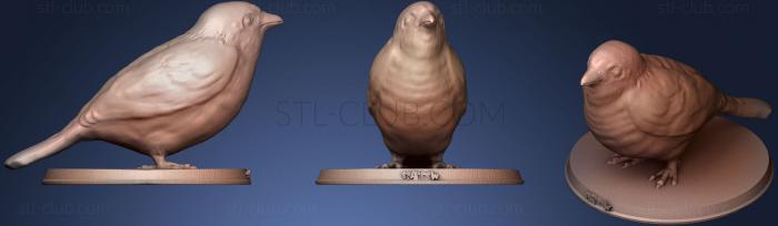 3D model Sparrow (STL)